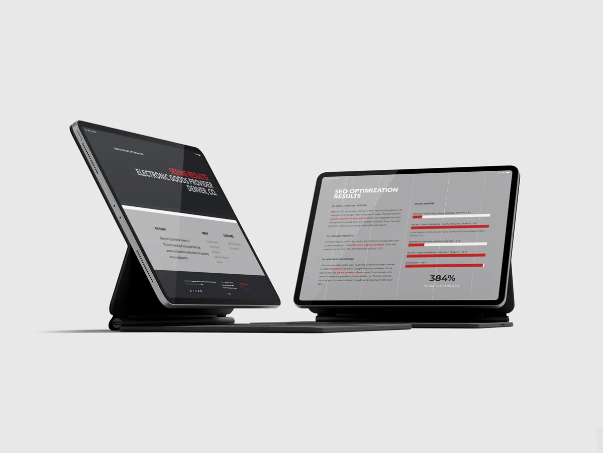 SEO case for an electronics retailer, Denver